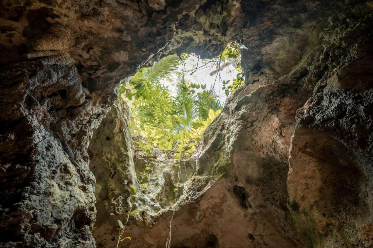 Luxuszelt Xcaret Oasis Private Cave For 3