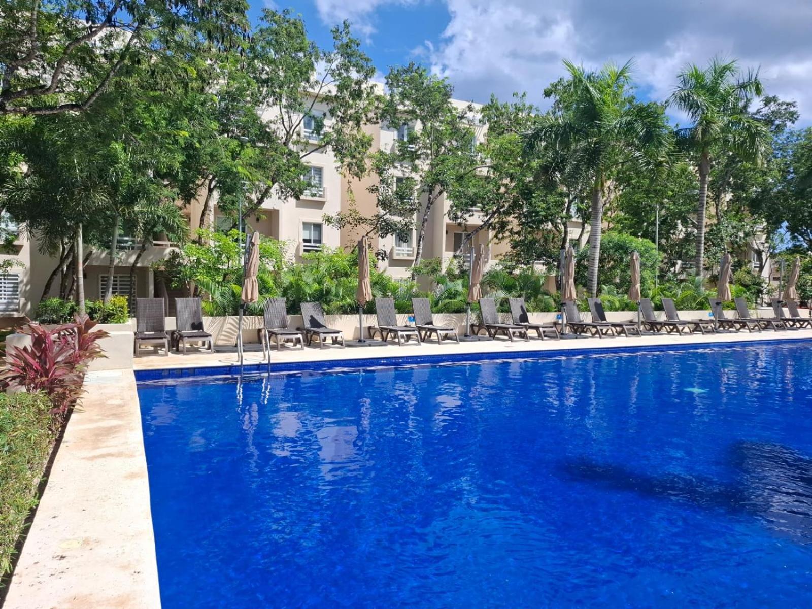 Moderno 2 En Condominio,