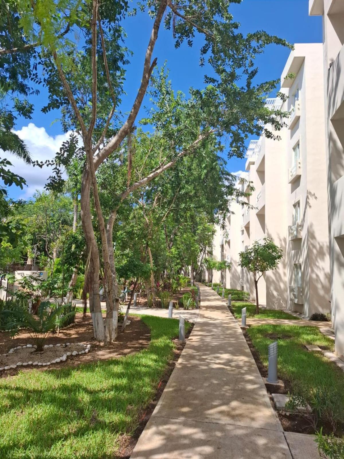 Moderno 2 En Condominio, *