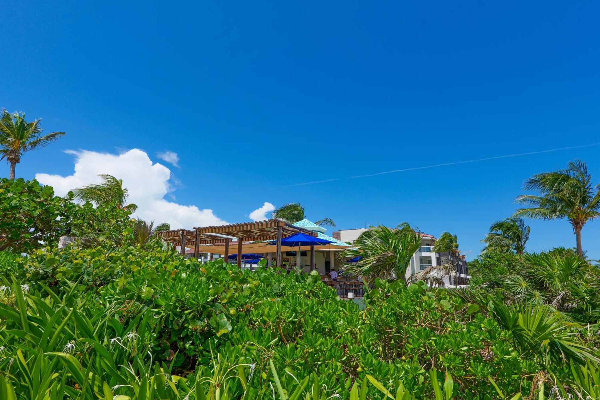 Seaside Serenity Retreat At Mareazul Norte- Playa del Carmen