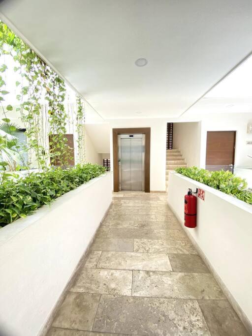 Pura Playa Luxury 5th Avenue Rooftop Ocean View * Playa del Carmen