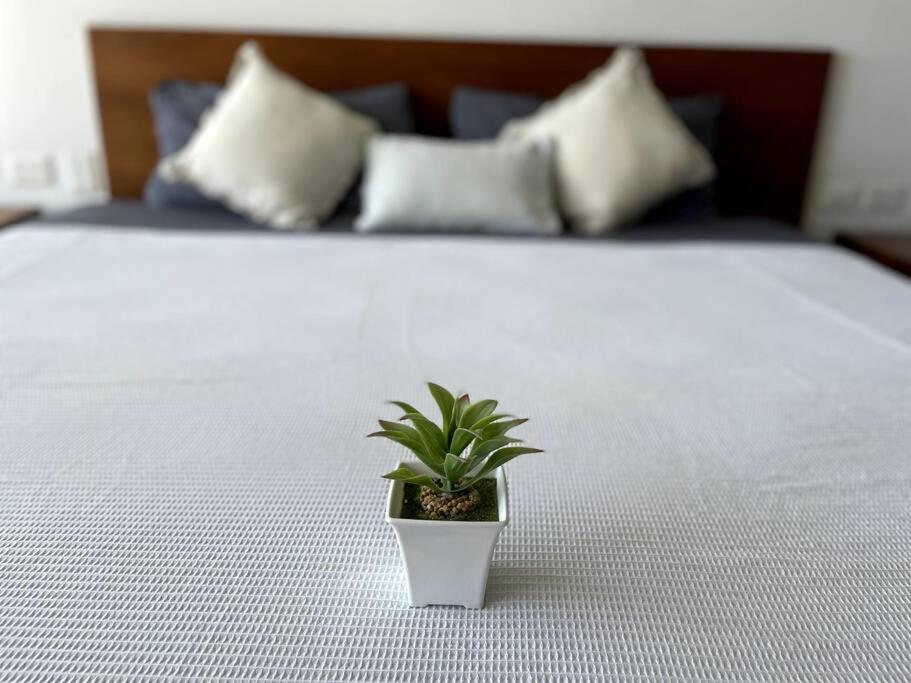 Apartment Pura Playa Luxury 5th Avenue Rooftop Ocean View Playa del Carmen