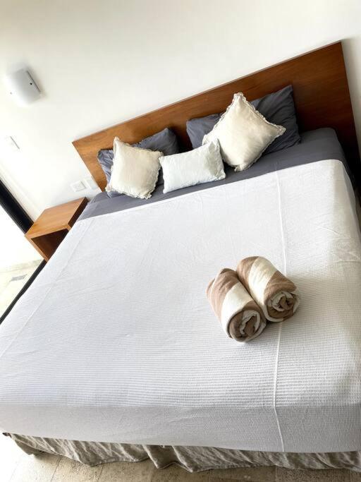 Pura Playa Luxury 5th Avenue Rooftop Ocean View Apartment Playa del Carmen