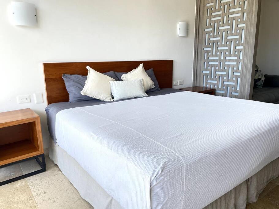 Apartment Pura Playa Luxury 5th Avenue Rooftop Ocean View *