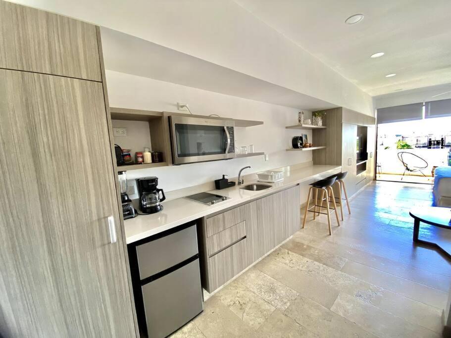 Pura Playa Luxury 5th Avenue Rooftop Ocean View Apartment
