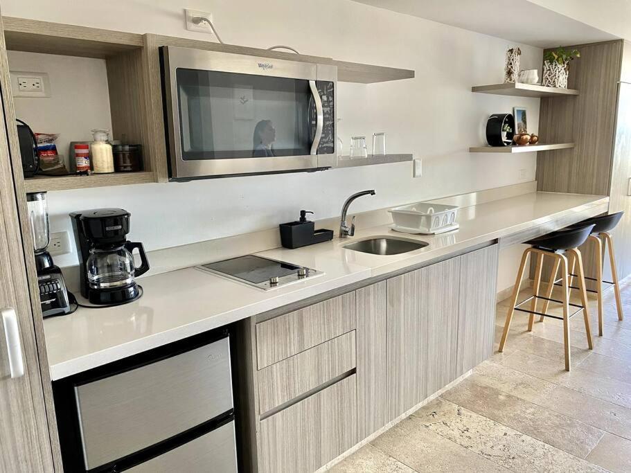 Pura Playa Luxury 5th Avenue Rooftop Ocean View Apartment Playa del Carmen