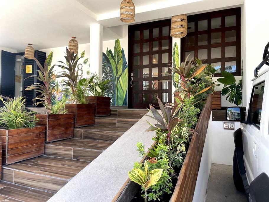 Ceiba Spacious Near The Sea And 5th Avenue Apartment