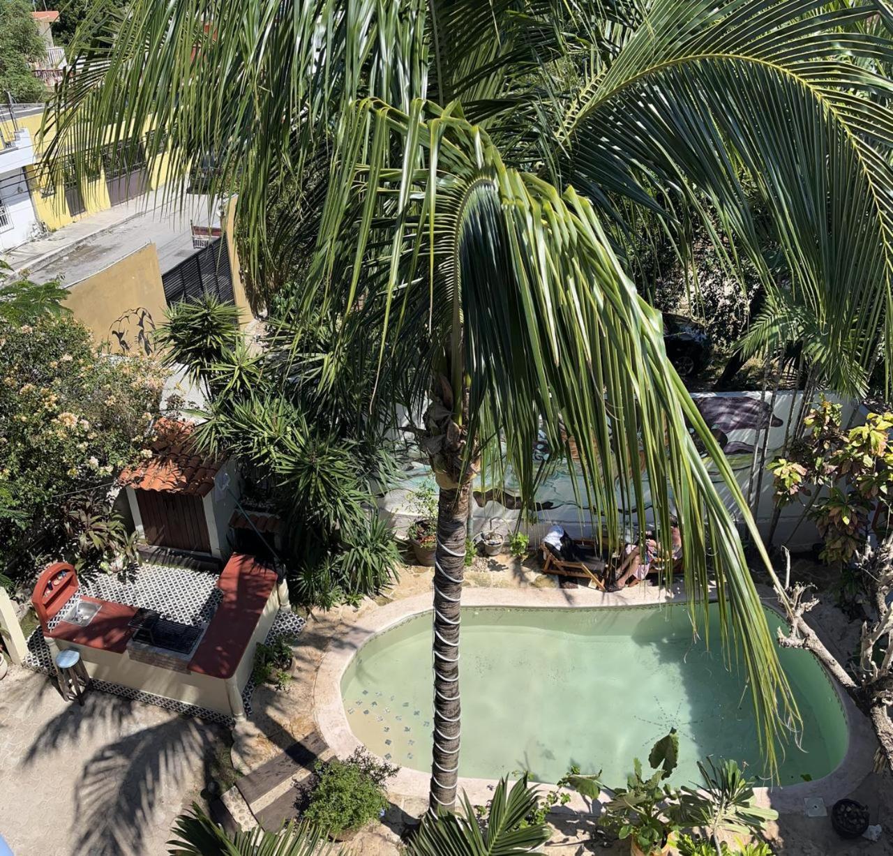 Homestay Casa Oasis 777 *