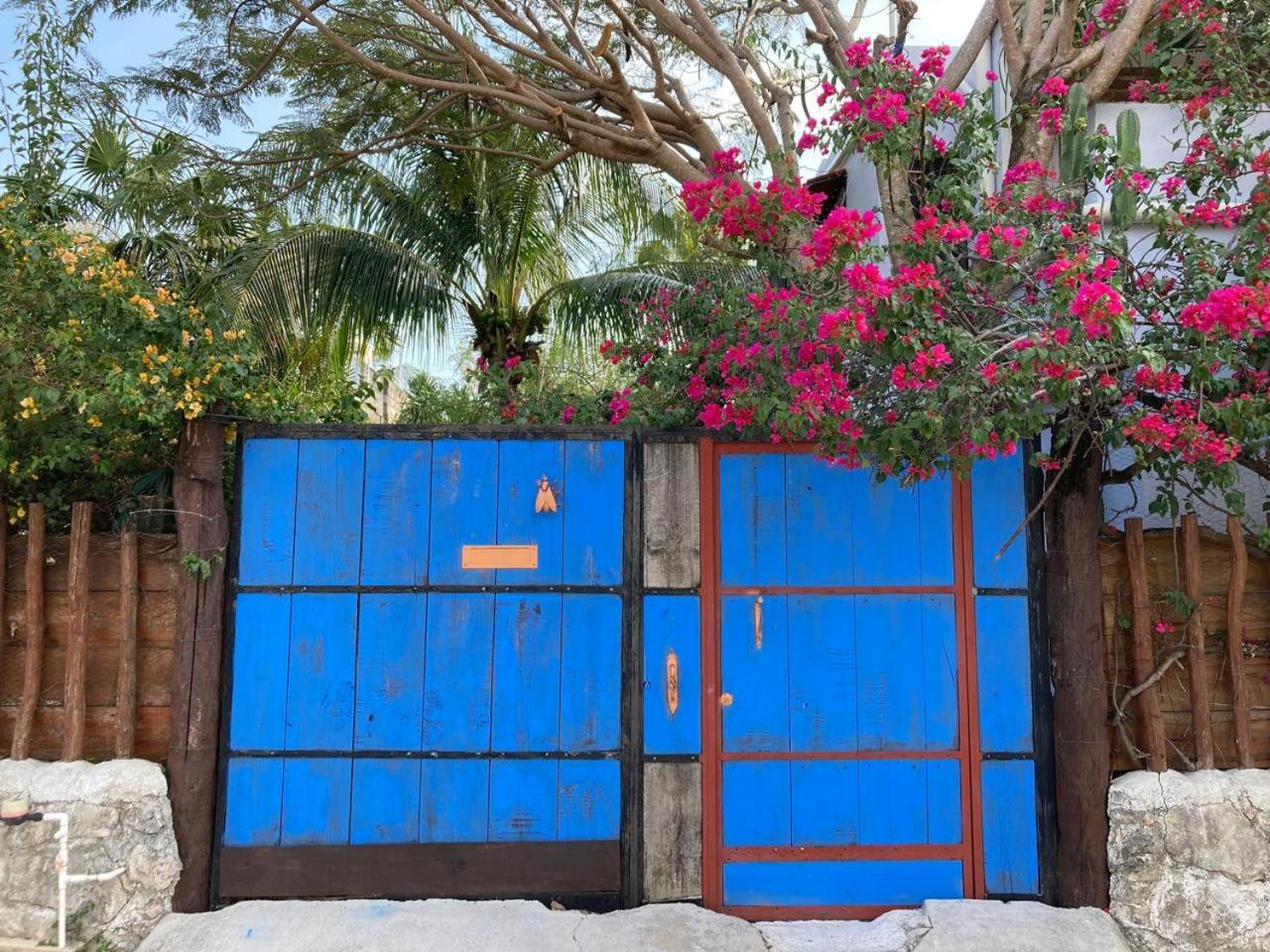Homestay Casa Oasis 777 *