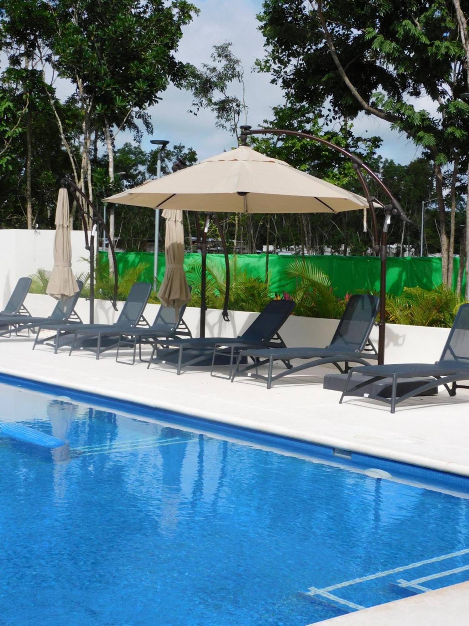 Carribean Deluxe Apartment *