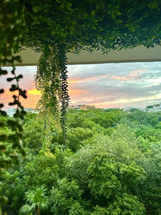 Apartment Rooftop Bliss, Steps From Playas *