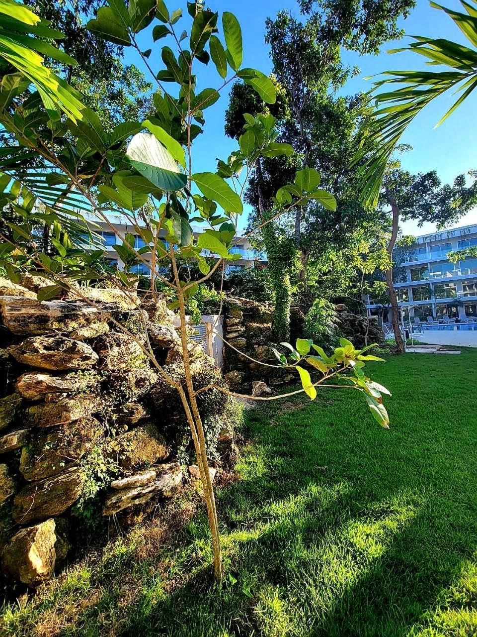 Modern Playacar With Poolside Views & Nature Playa del Carmen