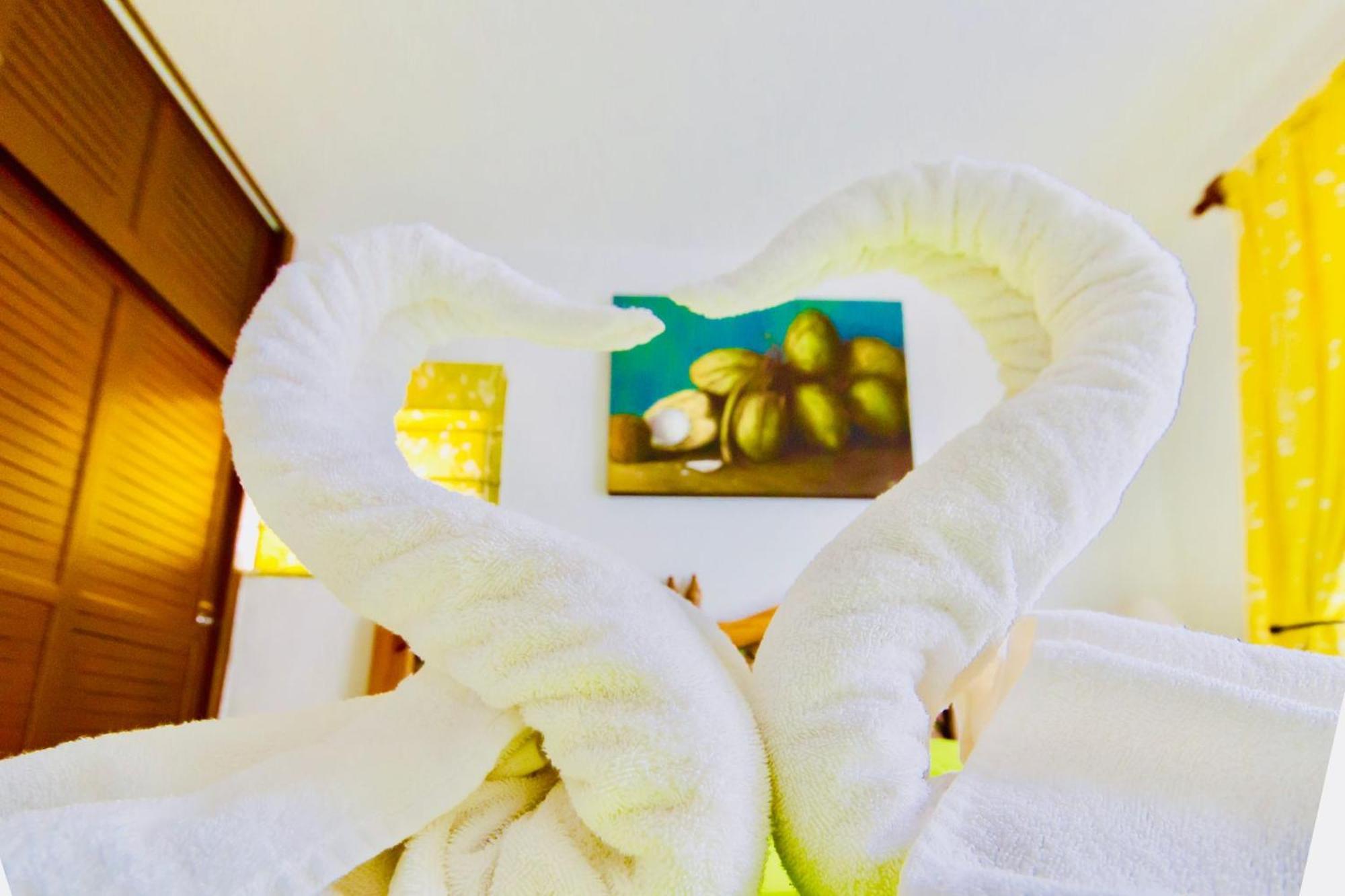 Gorgeous With Pool E7 Playacar Phase 2 Biệt thự