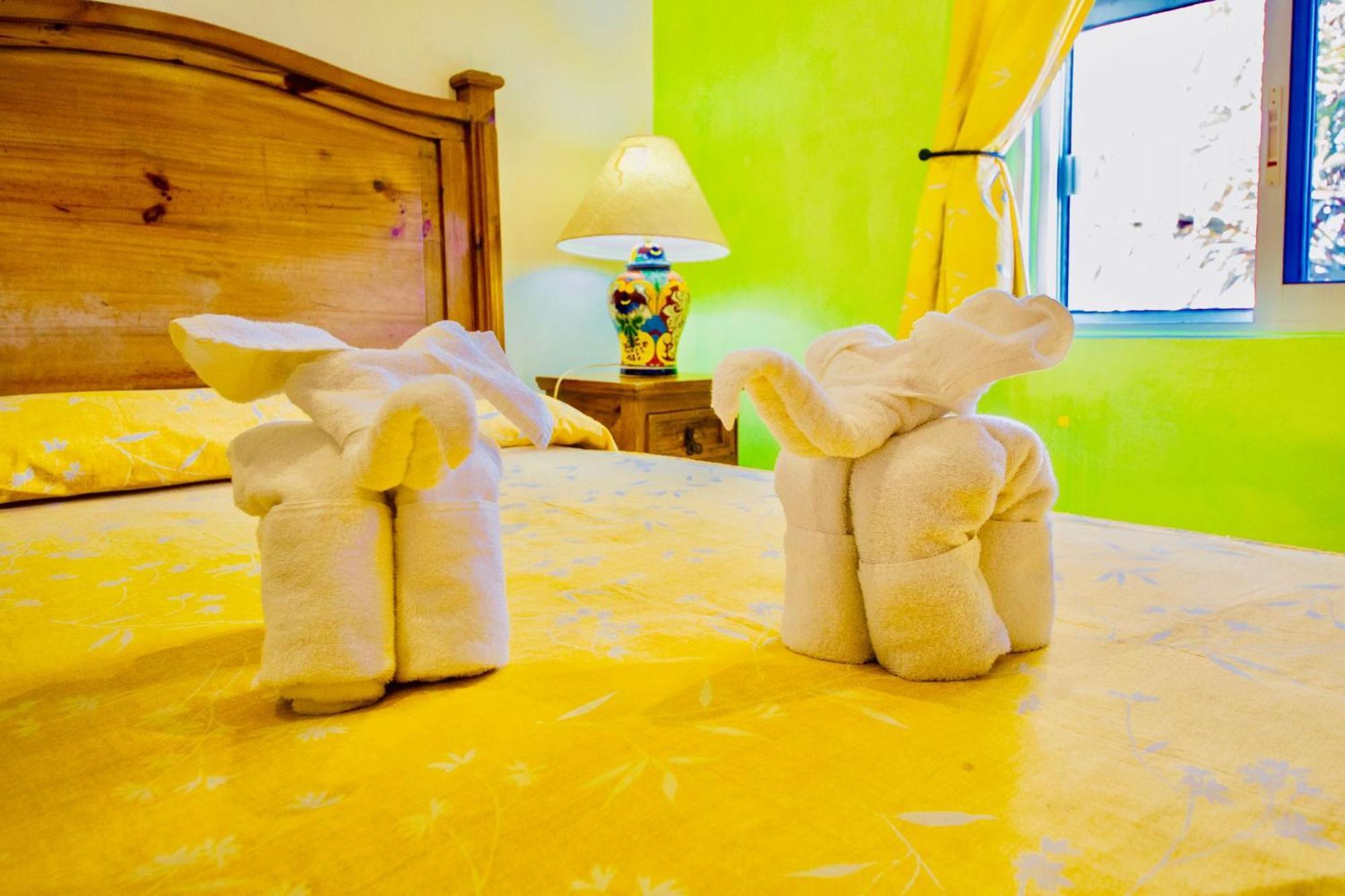 Gorgeous 22 People With Pool Playacar Phase 2 Biệt thự Playa del Carmen