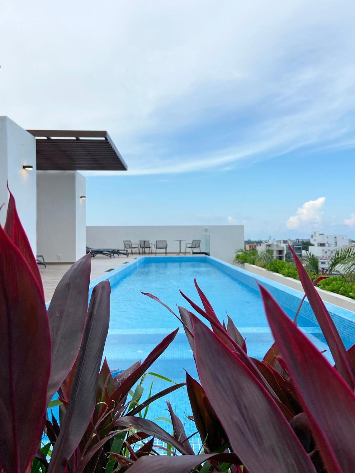 Apartment Estrena Estudio Con Coworking,gym,alberca,todo Cerca