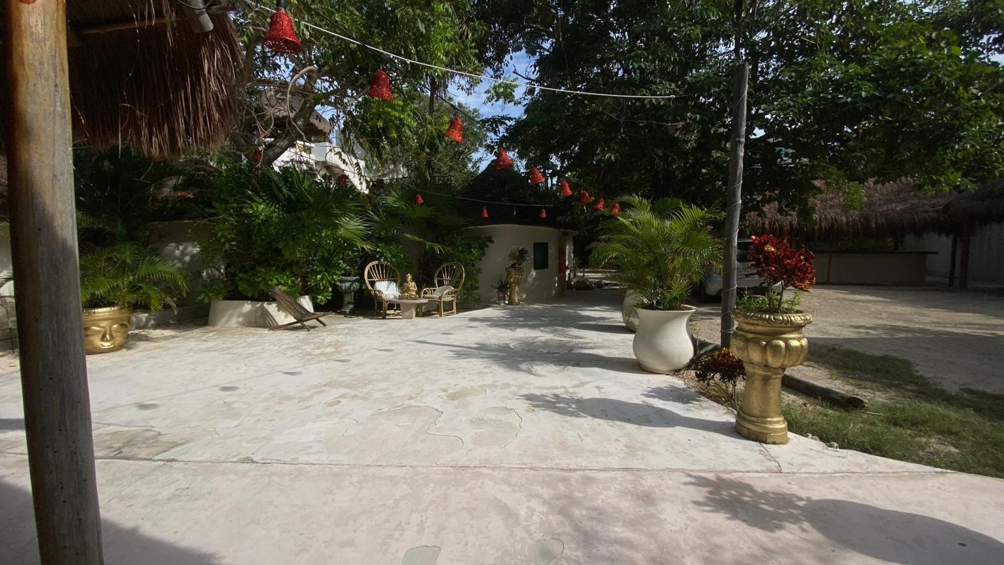 Nature (adults Only) Hotel Playa del Carmen