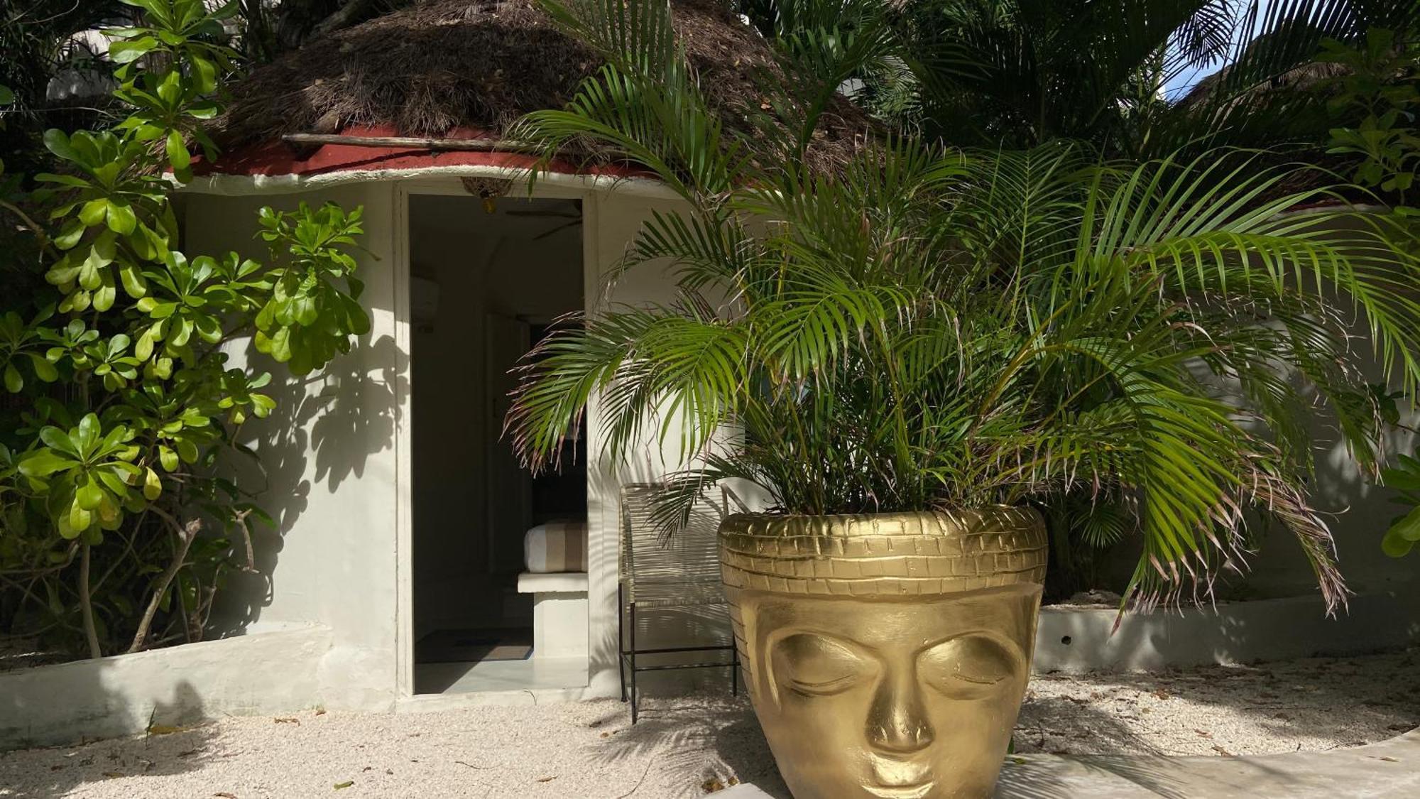 Nature (adults Only) Playa del Carmen