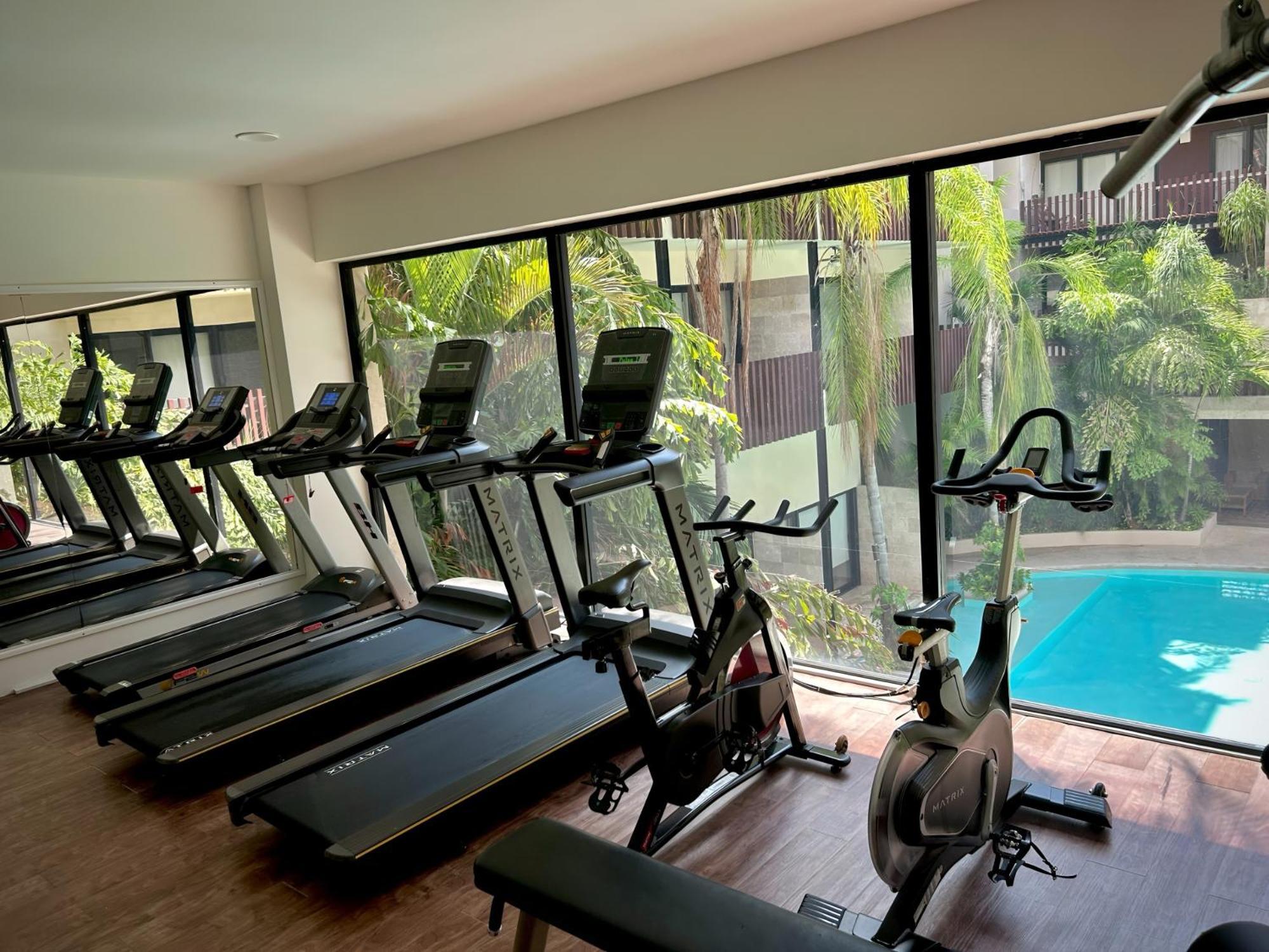 Apartamento Tropical 3br Pool Near 5th Avenue & Playa del Carmen