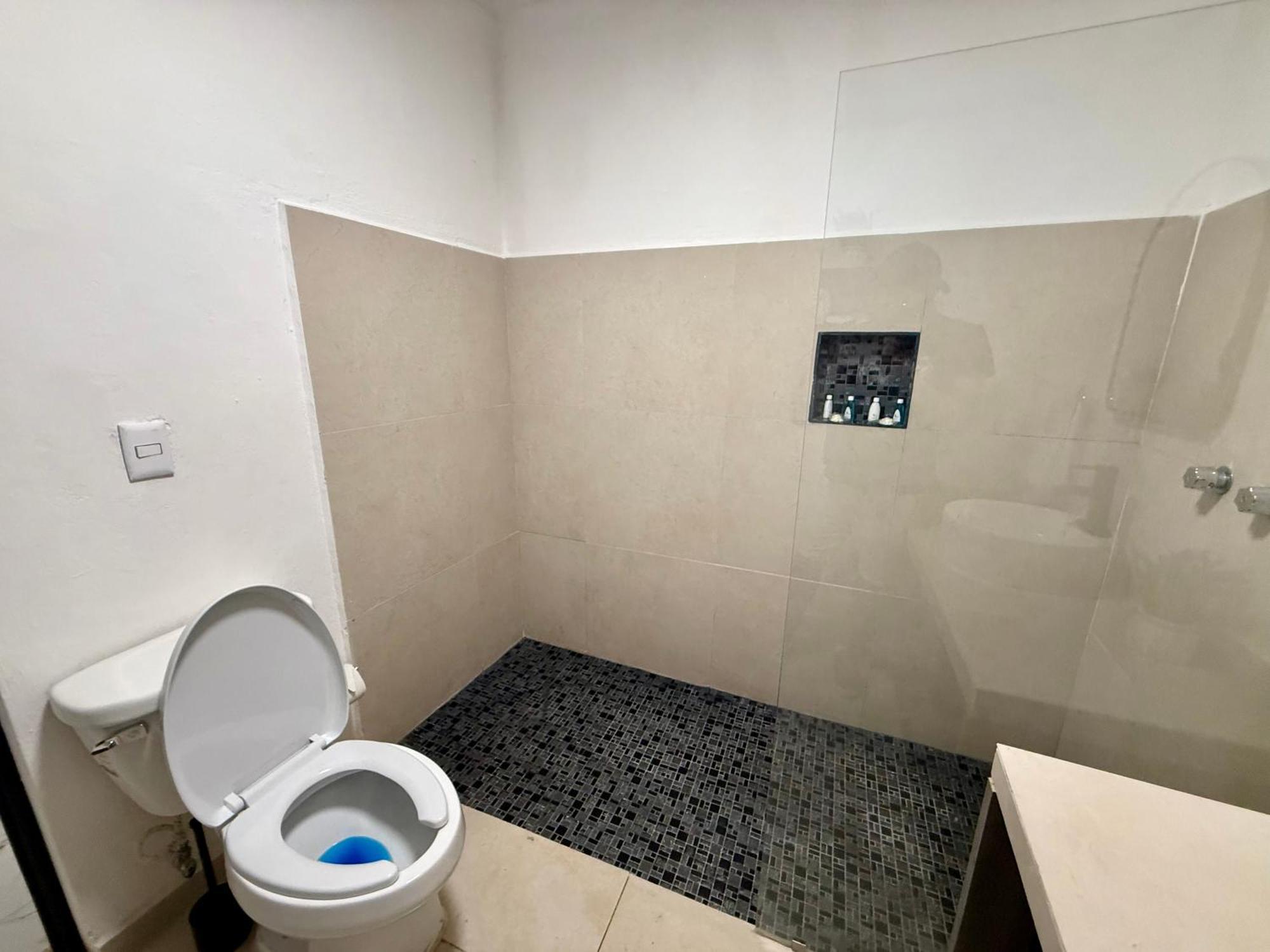 Casa Tortuga 5th Ave 5*