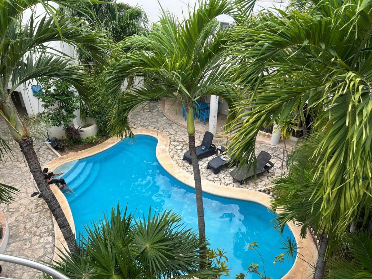 Apartment Blue Angel 11 A Pasos De Playa Y La 5av *