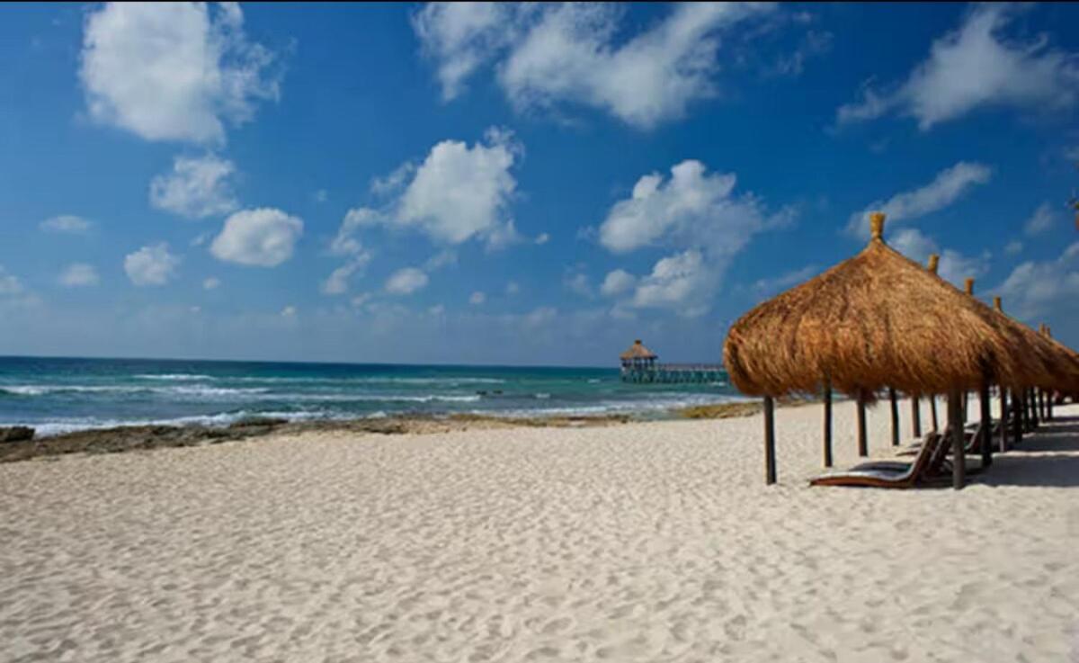 Kingdom Of The Sun Mexico *
