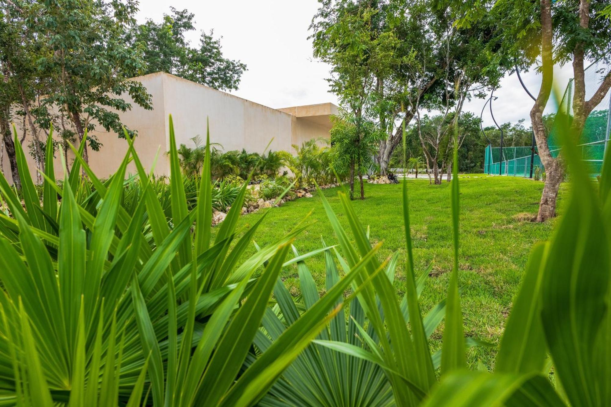 Apartment Casa Jaguar 1 *