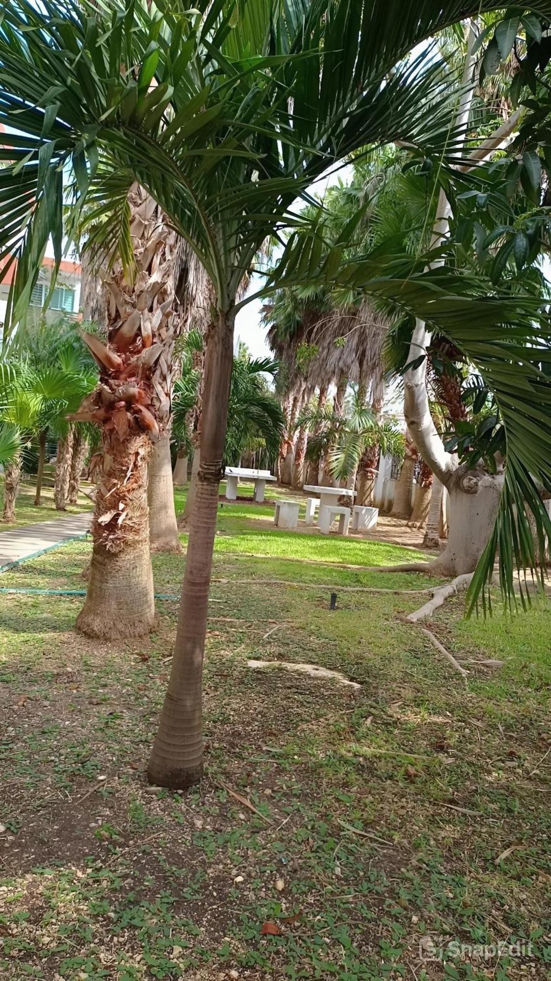 Playa Zen Apartment *