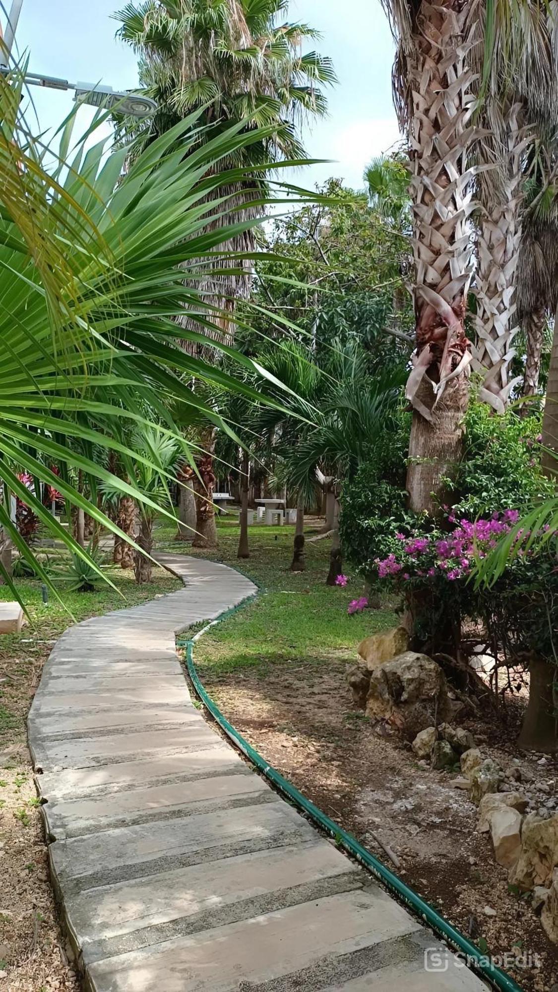 Playa Zen Apartment *