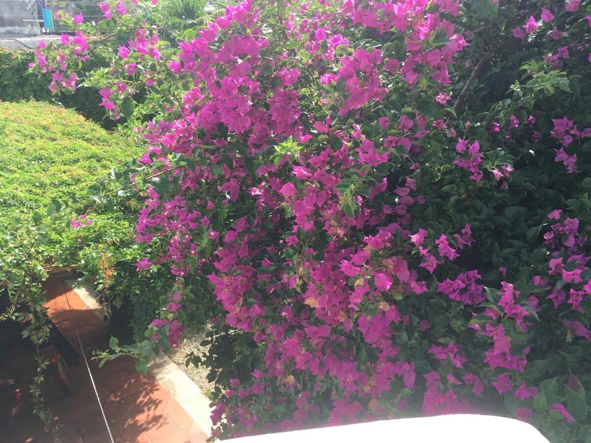 Apartment Charming Very Quiet Center Renewed Playa del Carmen