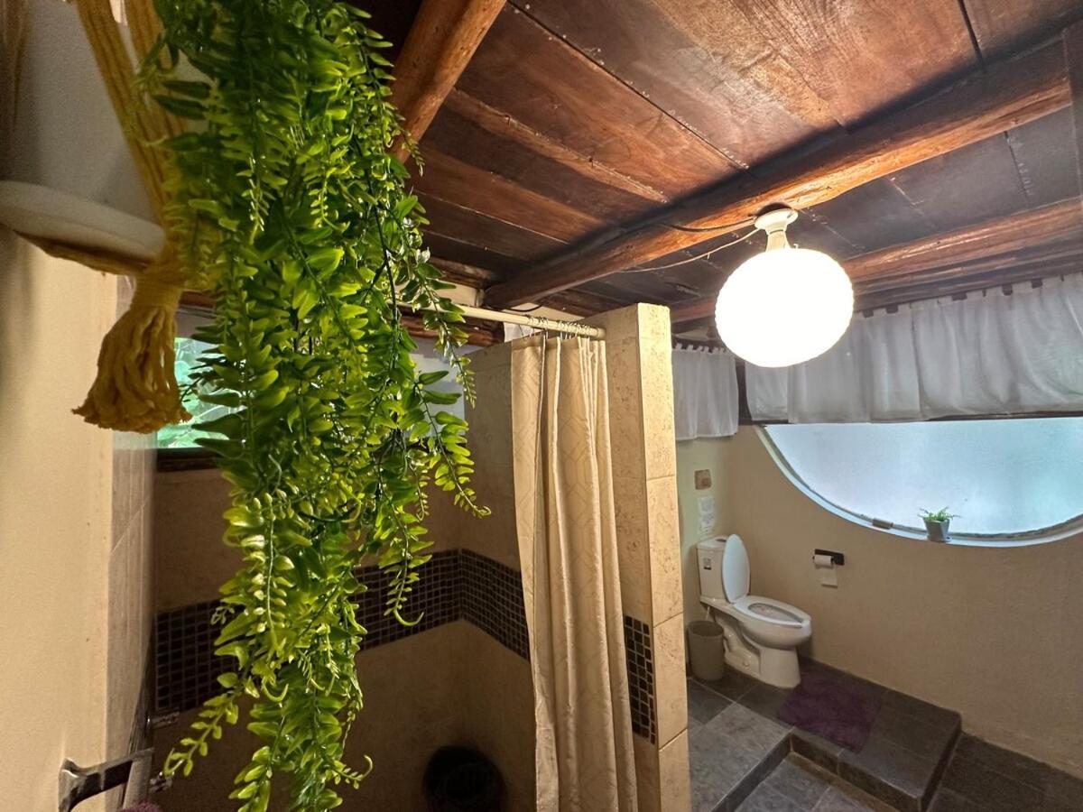 Treehouse Loft In Prime Location Apartment