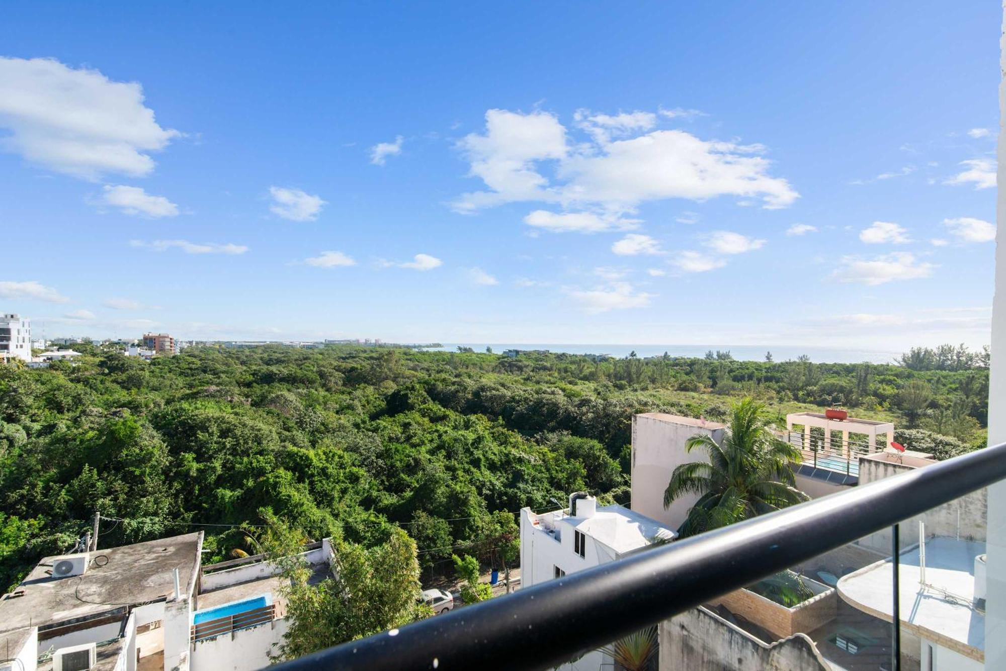 Jungle With Views Walk Everywhere Apartment *