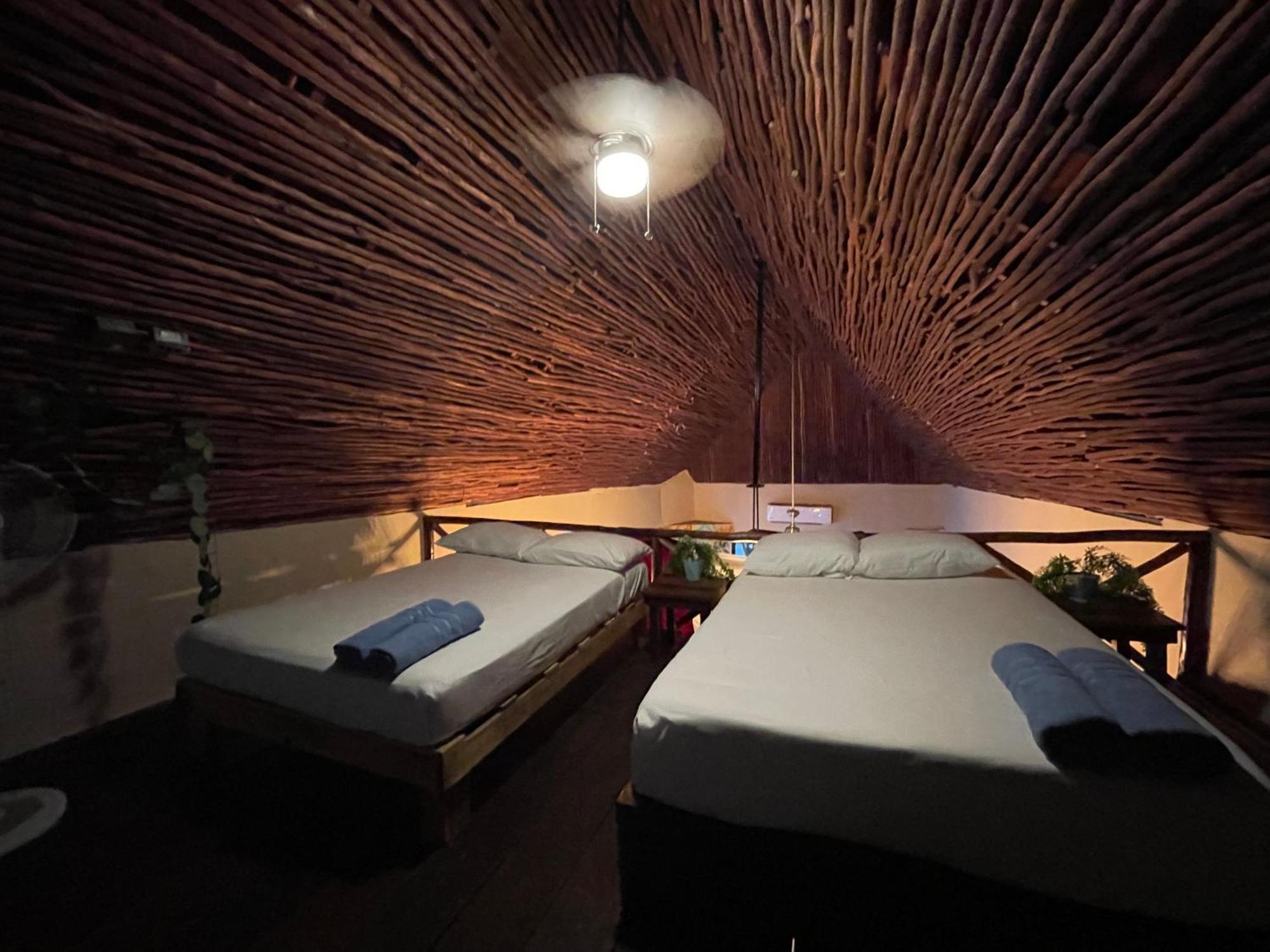 Apartment Treehouse Loft In Prime Location