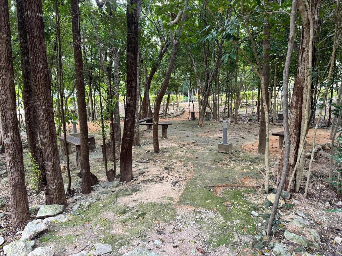 Căn hộ Selvanova Coto 6