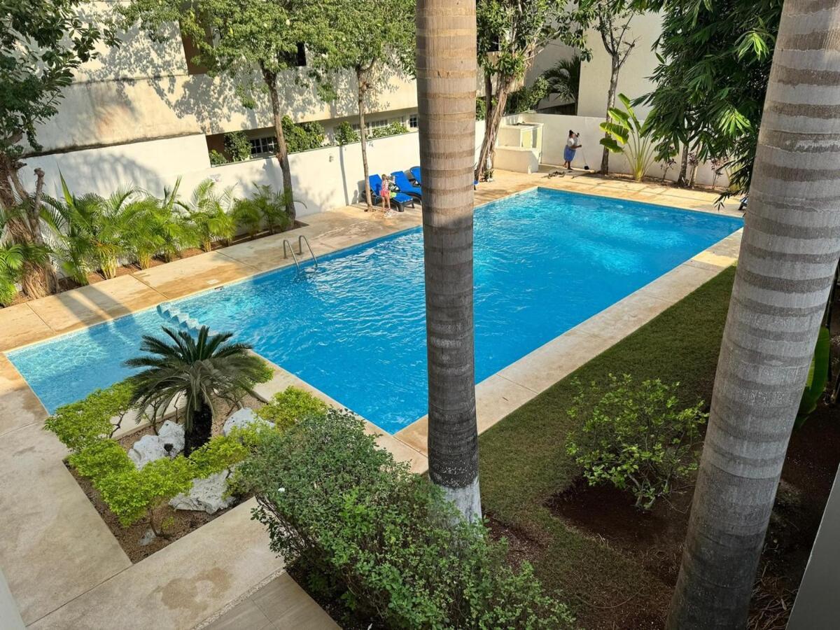 Căn hộ Selvanova Coto 6 *