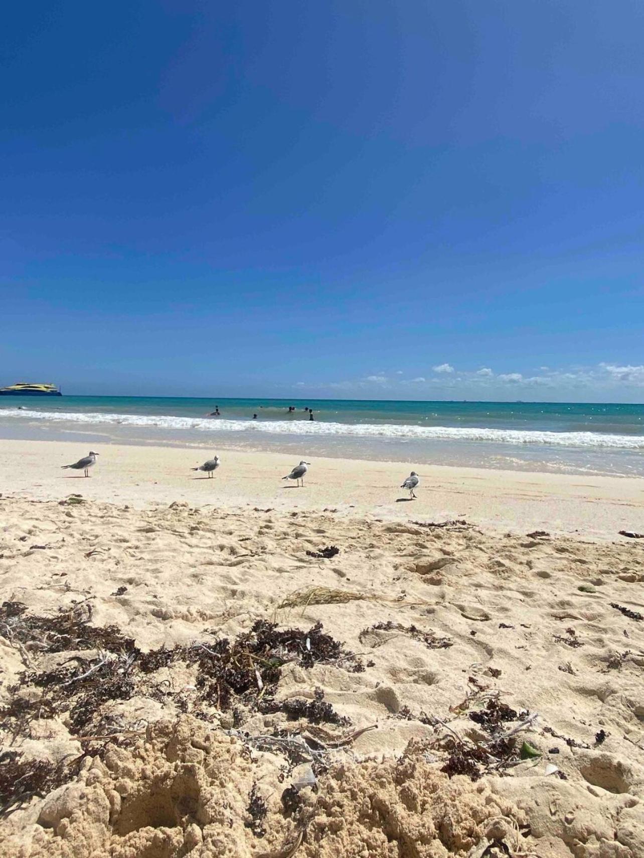 Playacar Master Suites, 2 Pools, Bbq, 5 Min Apartamento