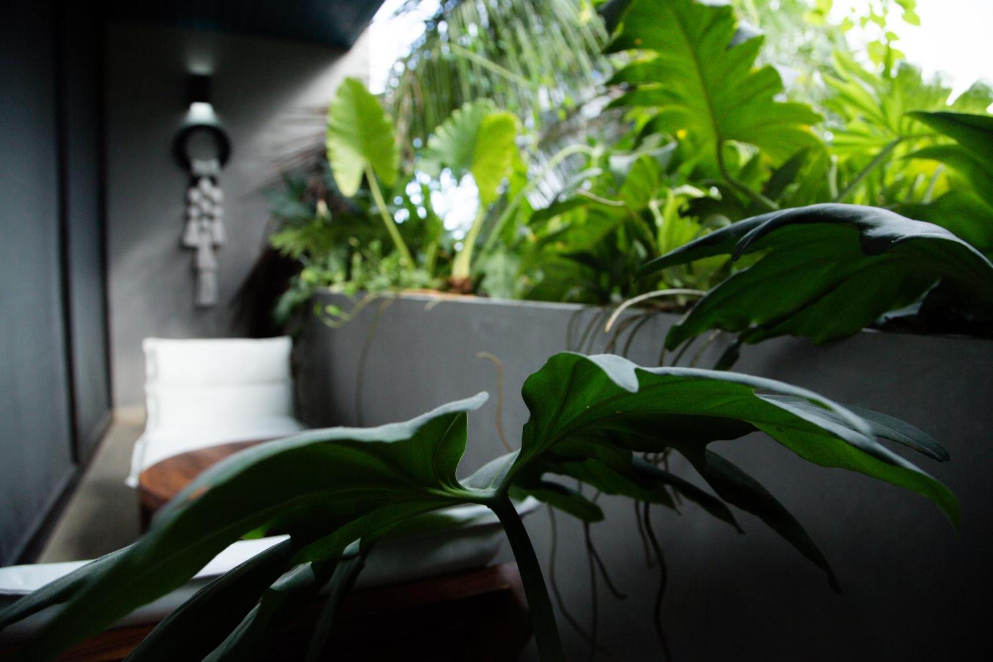Mayan Paradise Loft Apartment