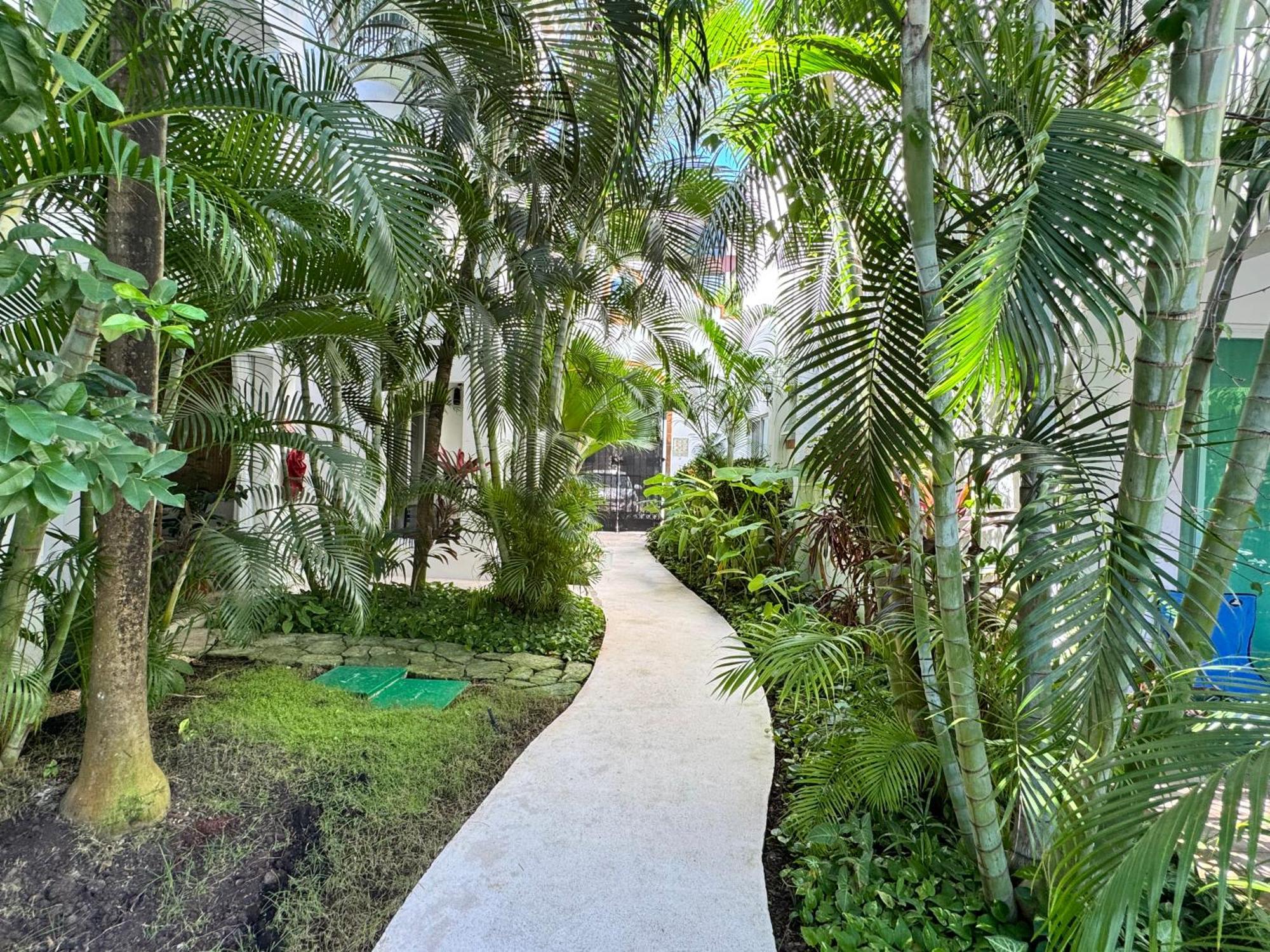 Luxury -fast Wifi- Playa Experience * Playa del Carmen