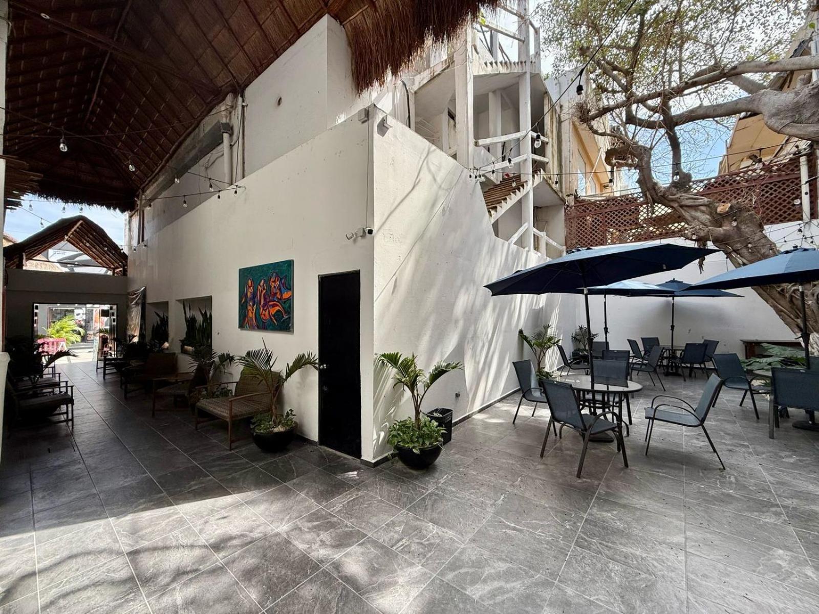 Casa Tortuga 5th Ave Hotel Playa del Carmen