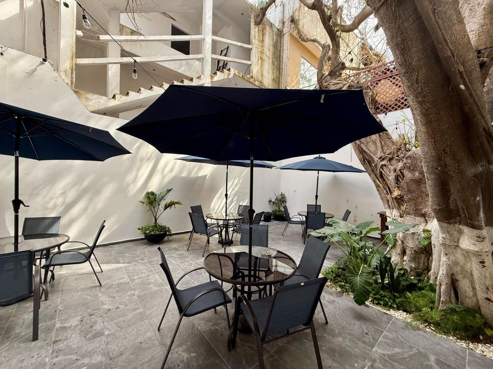Casa Tortuga 5th Ave 5*