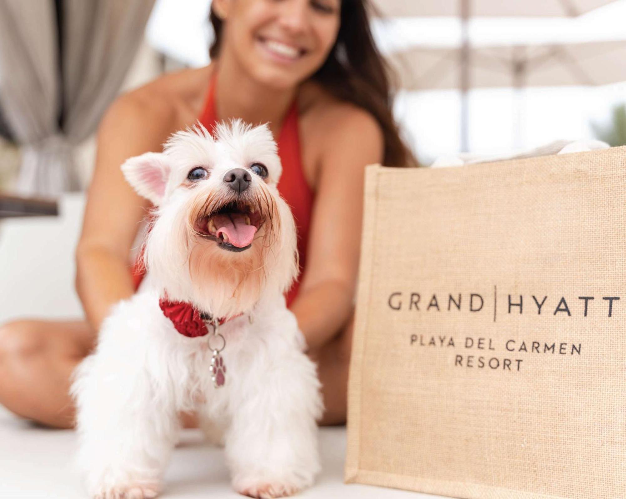 Resort Grand Hyatt Playa del Carmen