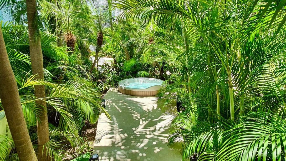 Apartment Penthouse Terrace Excellet Wifi Downtown Playa del Carmen