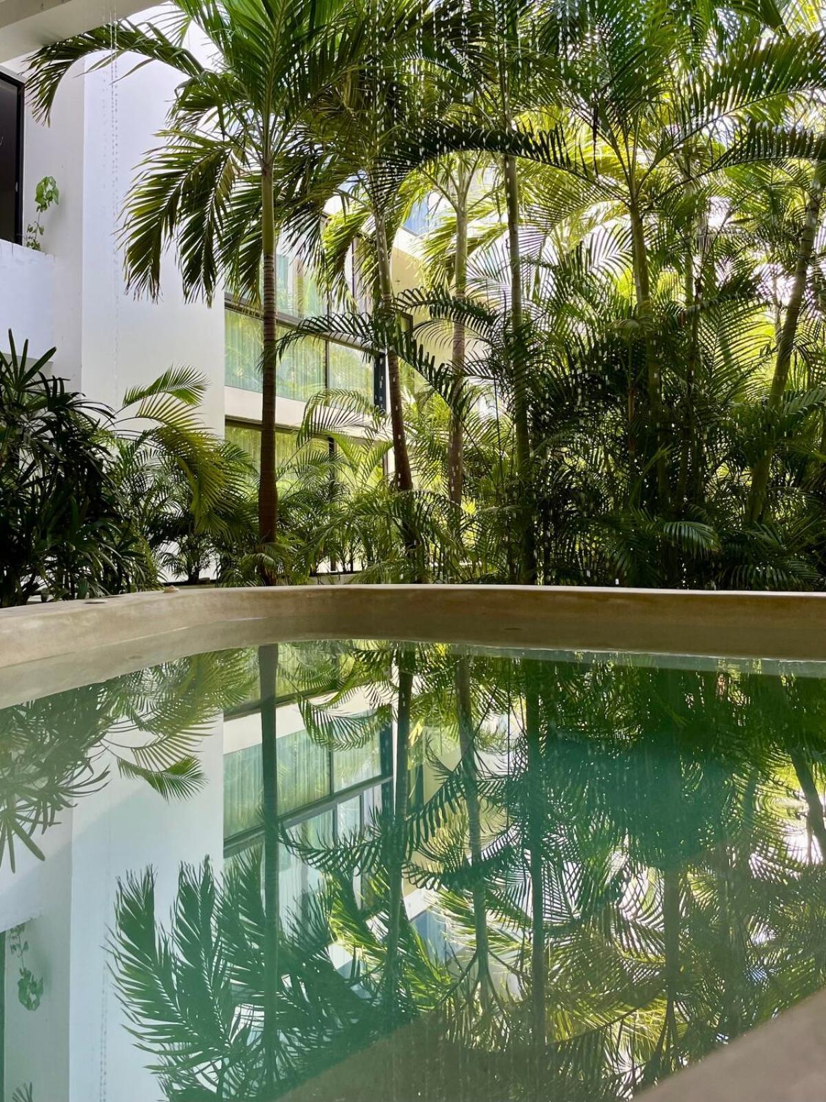Apartment Penthouse Terrace Excellet Wifi Downtown Playa del Carmen