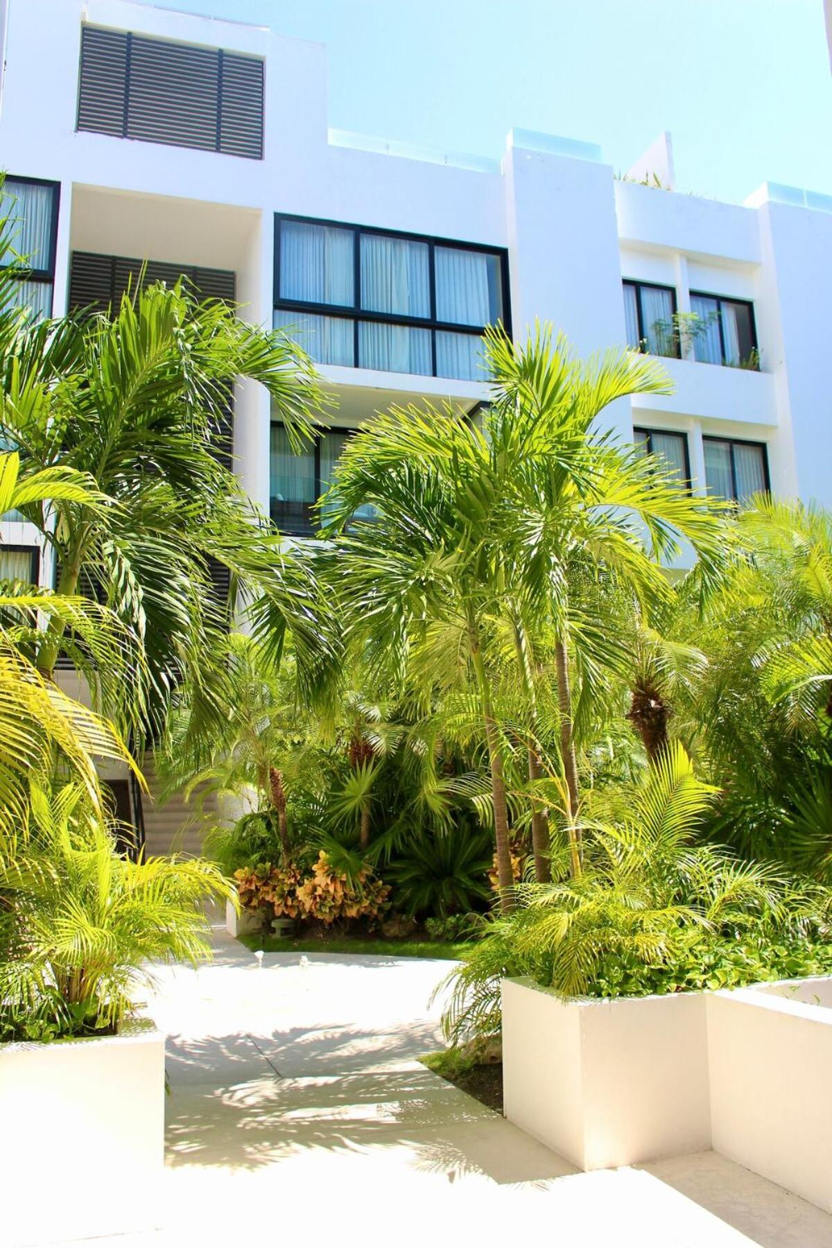 Penthouse Terrace Excellet Wifi Downtown * Playa del Carmen