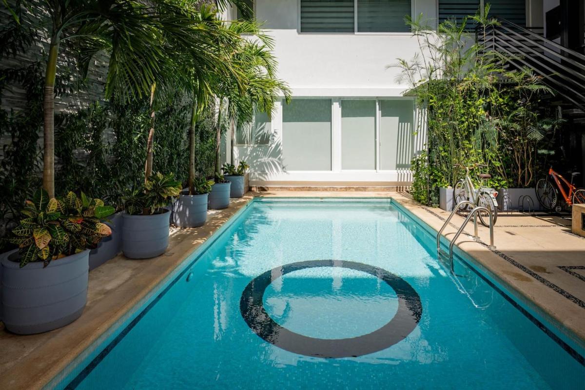 Apartment Magnificent 2 Blocks From The And 5th Ave Playa del Carmen