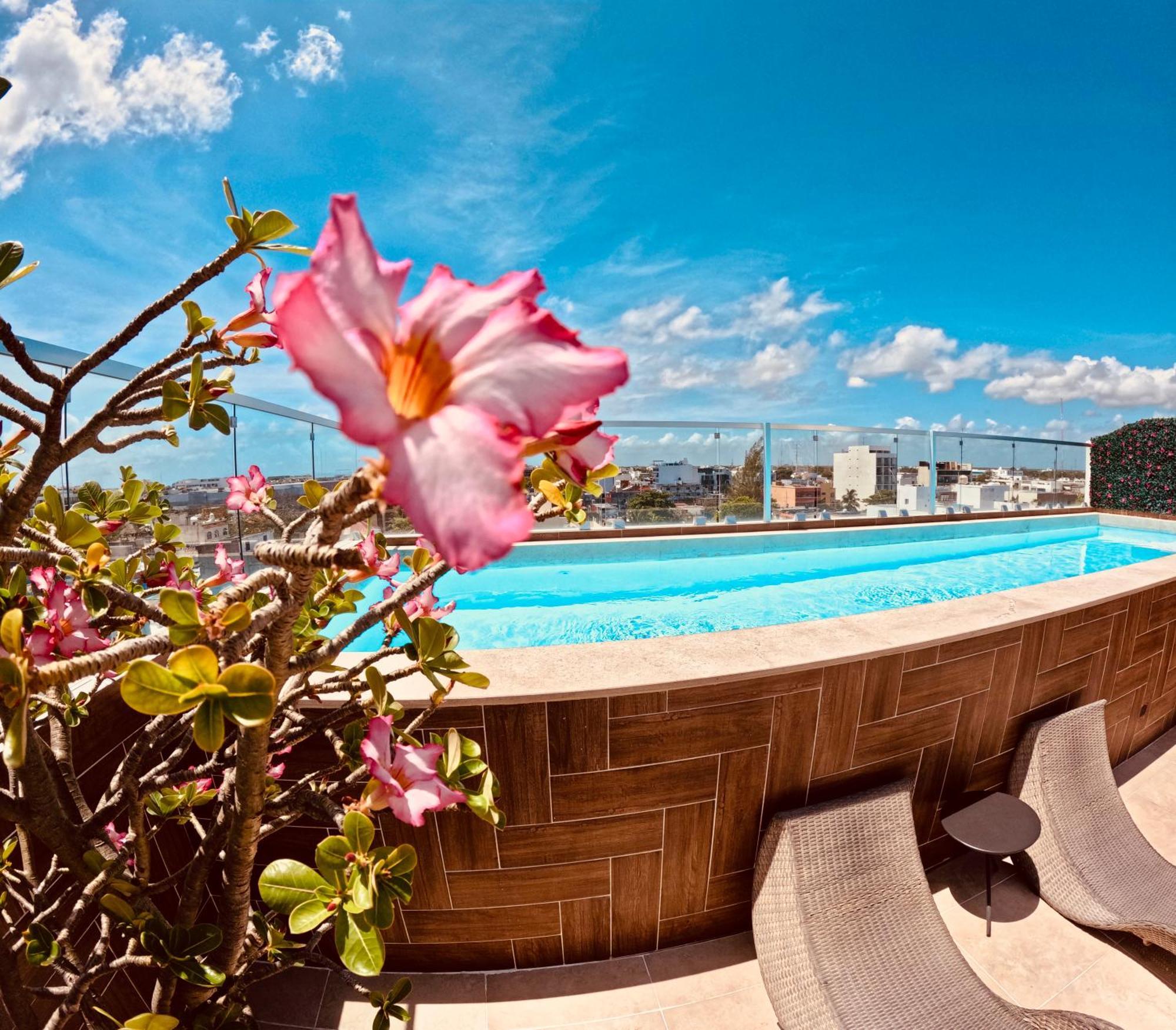 With Roofpool In Vanessa 24 * Playa del Carmen