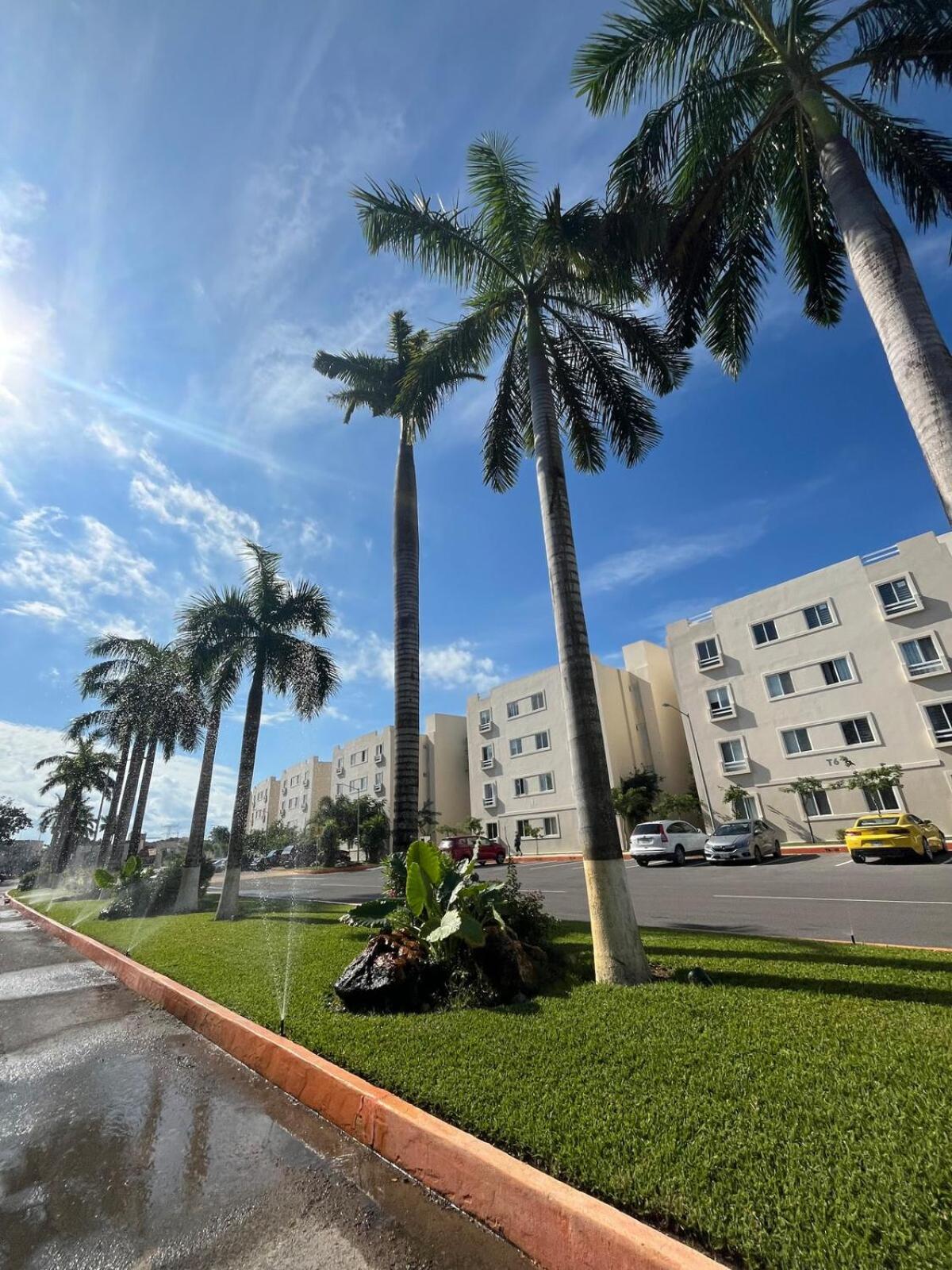 Casa Bambu, In The Part Of Apartamento