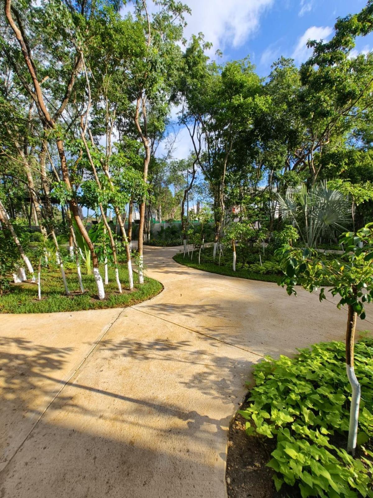 Casa Bambu, In The Part Of Playa del Carmen