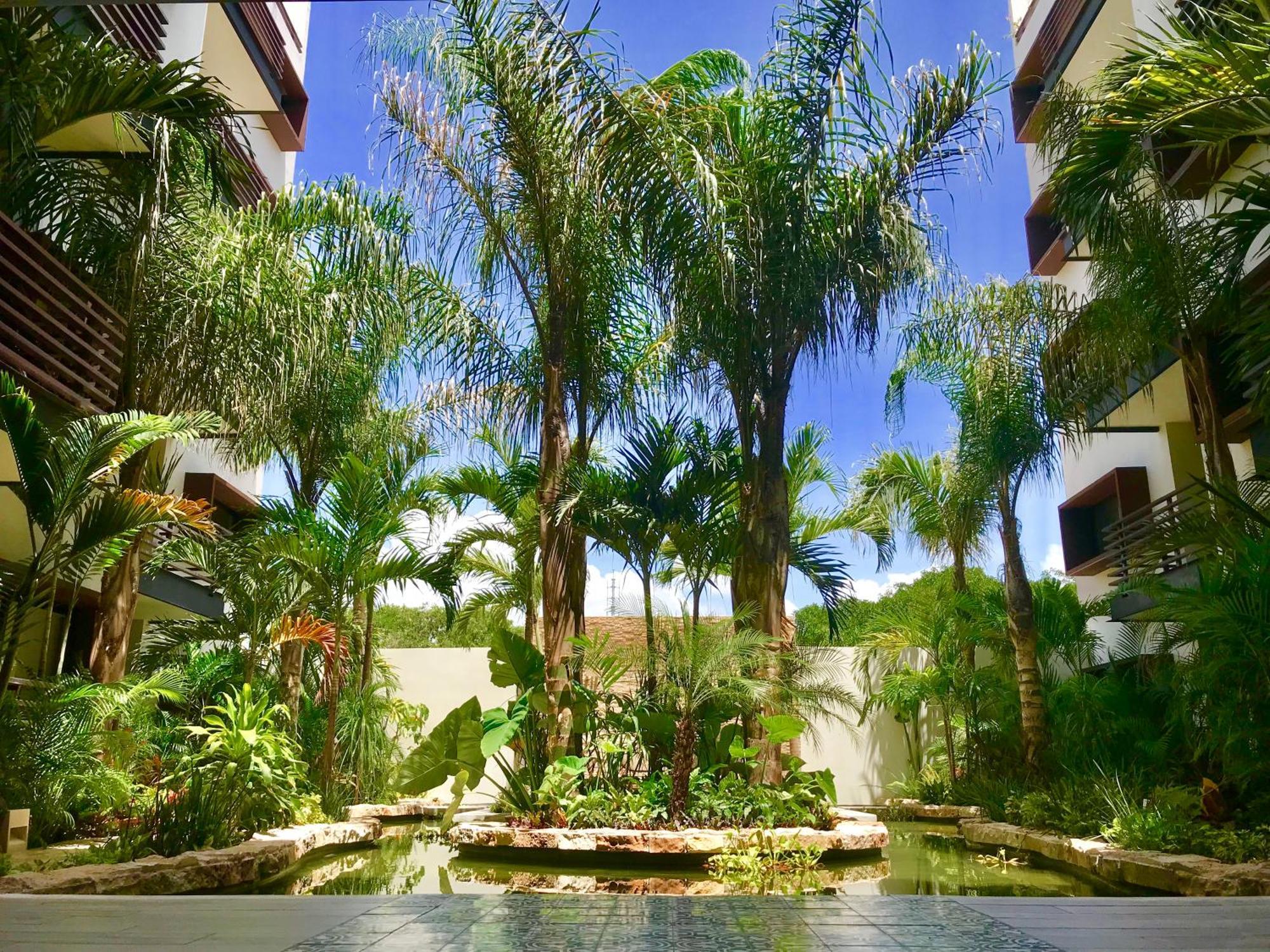 Perfect At Arenis, Oceanview Pool And Gym Apartment Playa del Carmen
