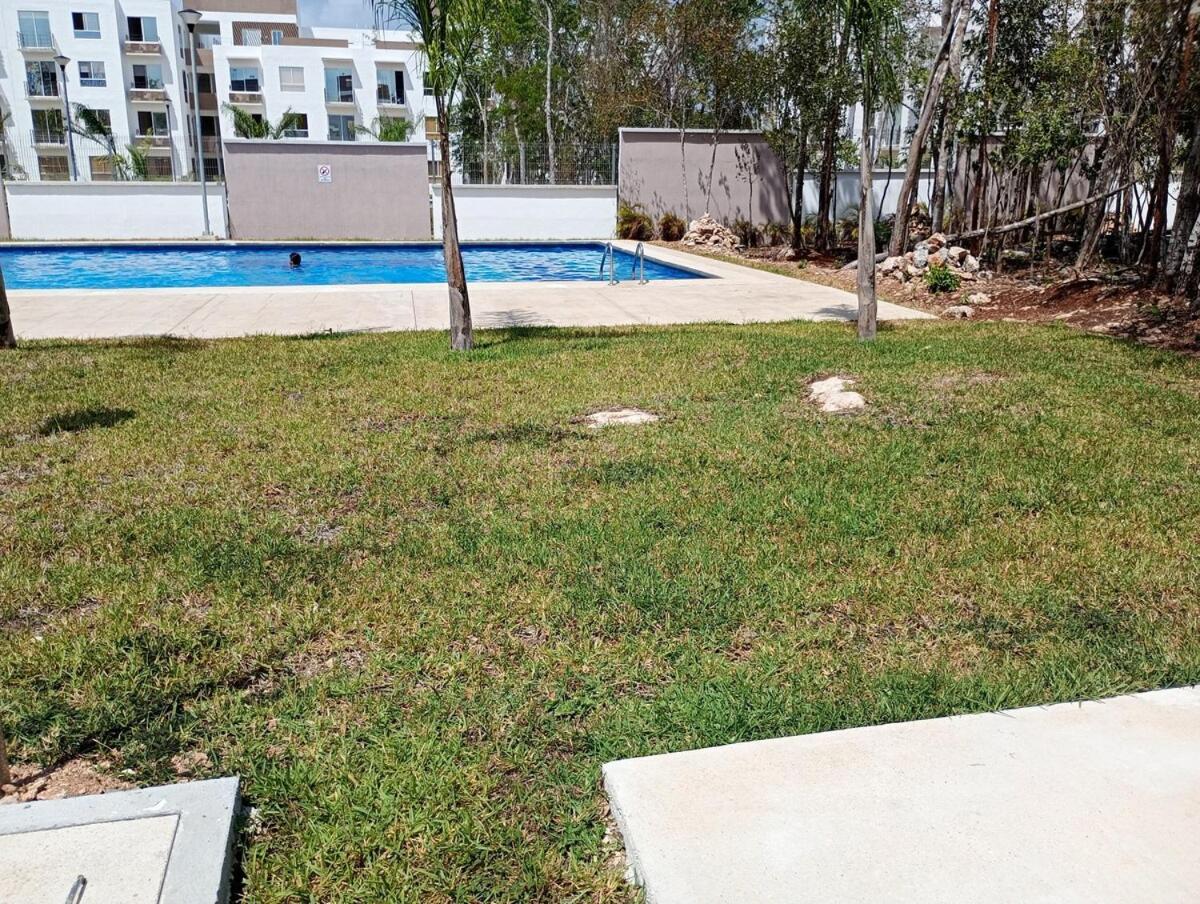 Beautiful Vacation 10 Out Of 10 Apartment
