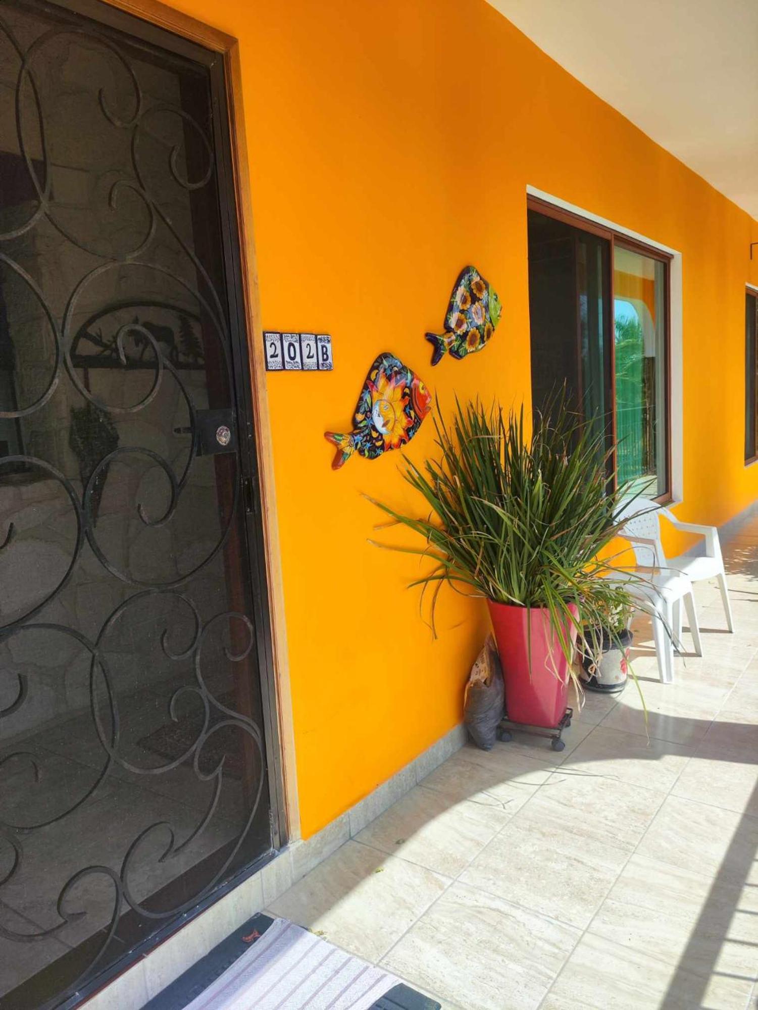 Beautiful Close To The Playa del Carmen
